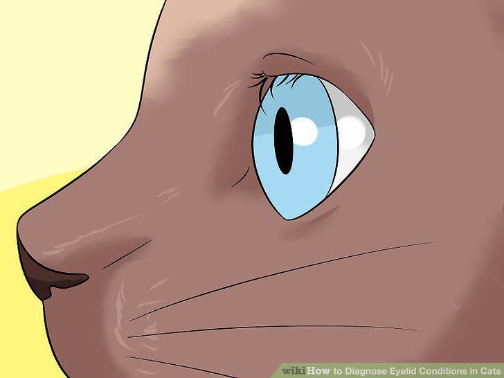 Step 10