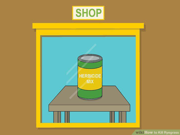 Step 4