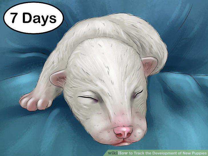 Step 5