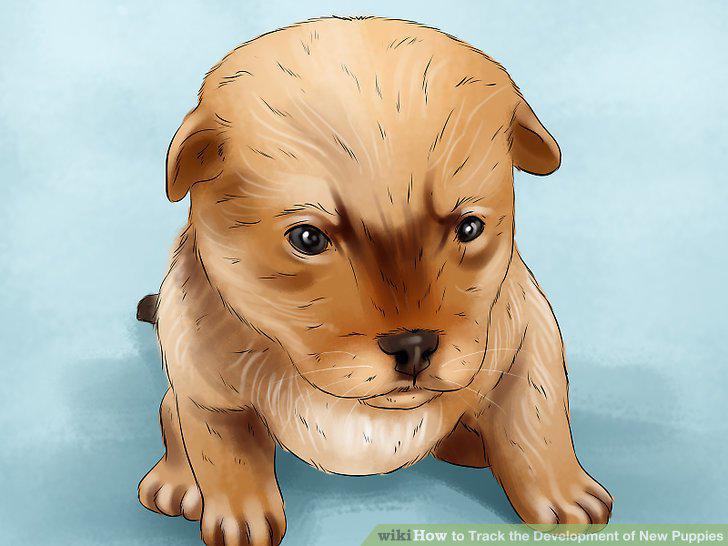 Step 6