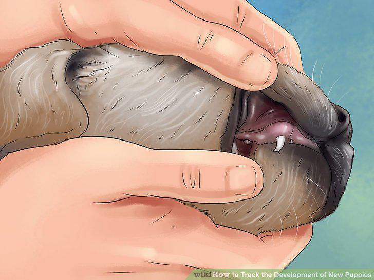 Step 7