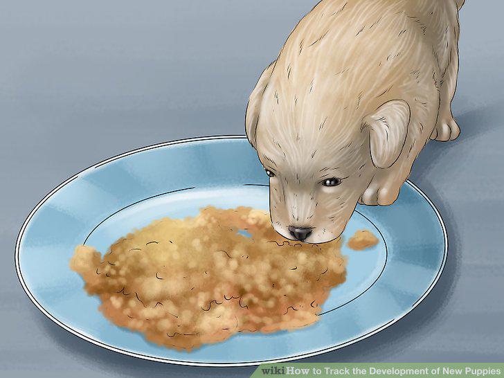 Step 9