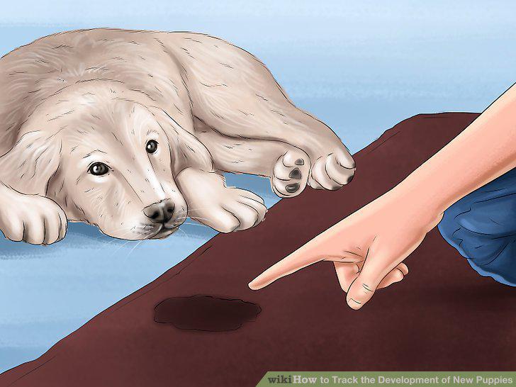 Step 10