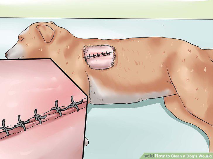 Step 12