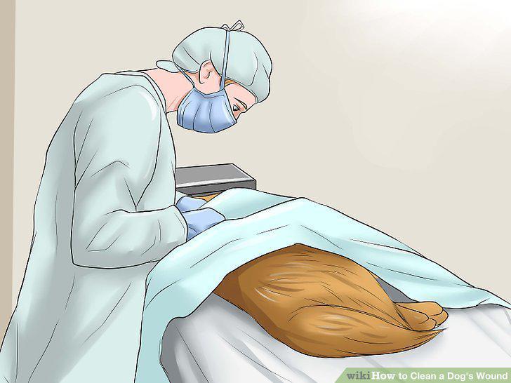 Step 14