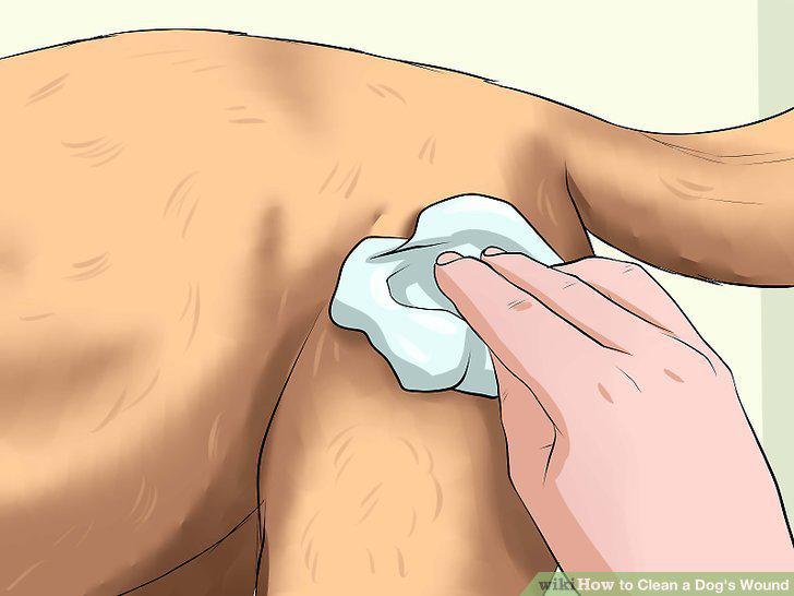 Step 8