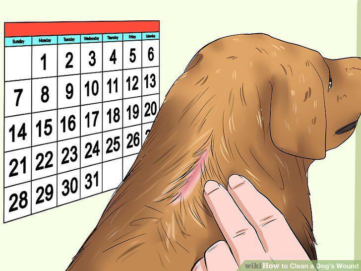 Step 10