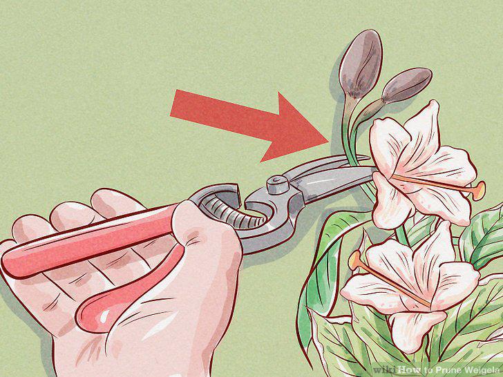 Step 2