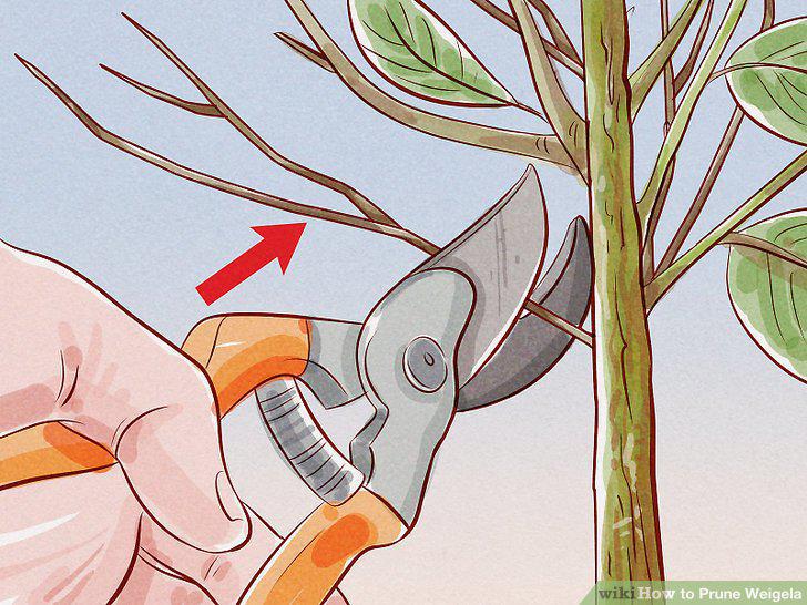 Step 4