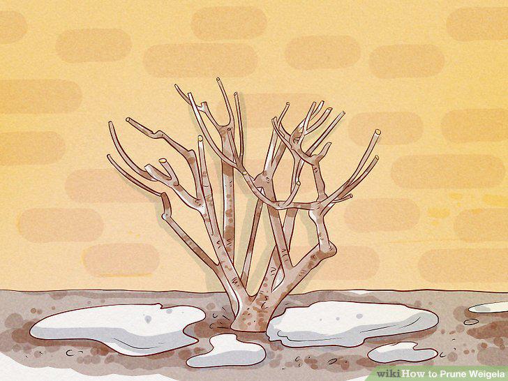 Step 7
