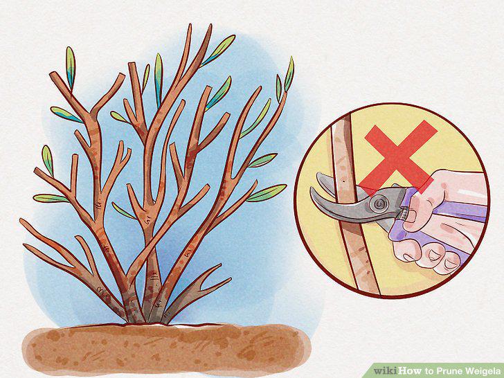 Step 8