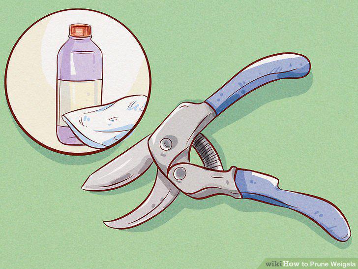 Step 10