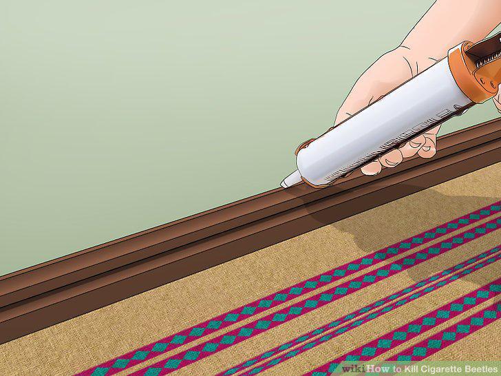 Step 12