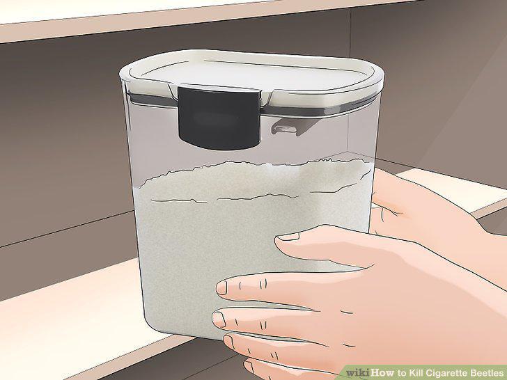 Step 13