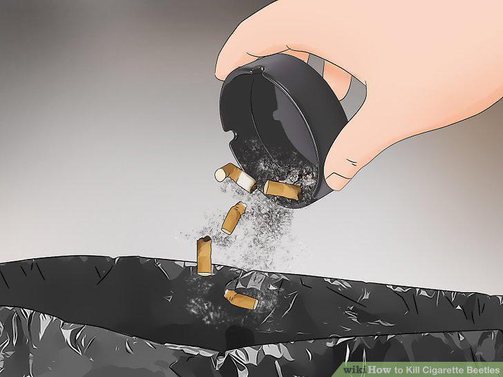 Step 14