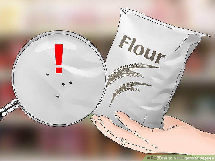 Step 15