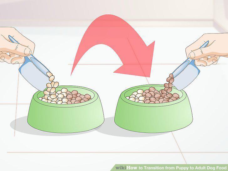 Step 6