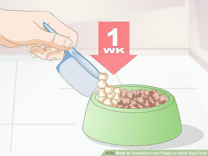 Step 7