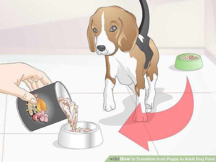 Step 8