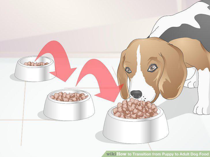 Step 9