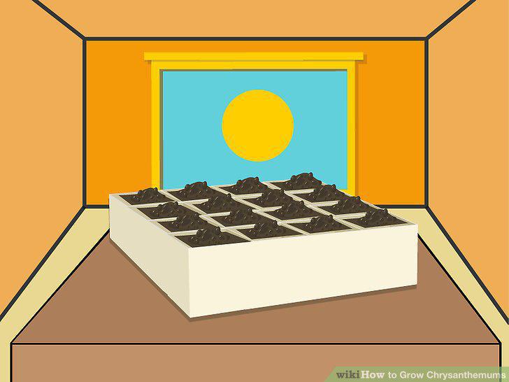 Step 11