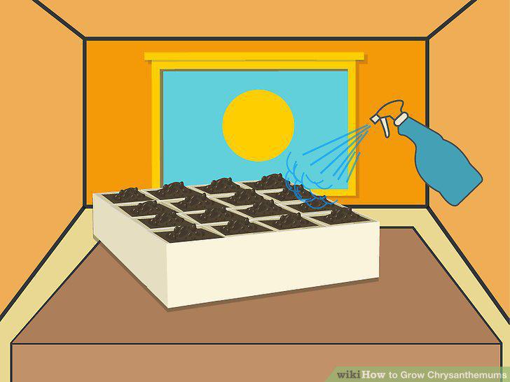 Step 12