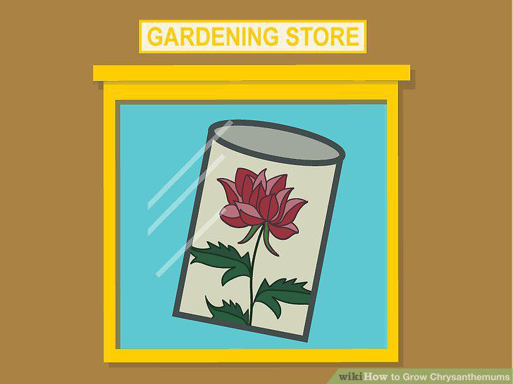Step 5