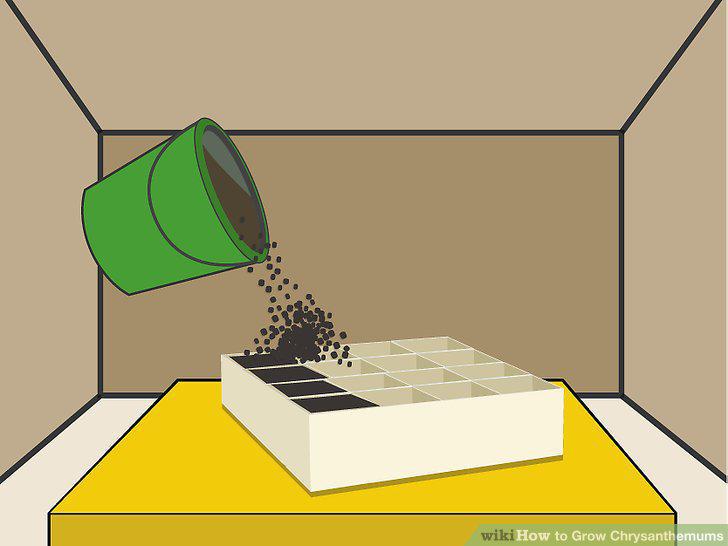 Step 6