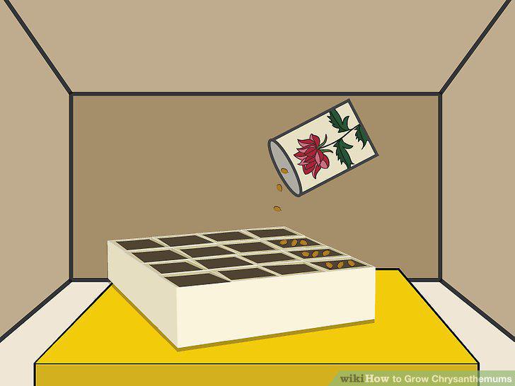 Step 7