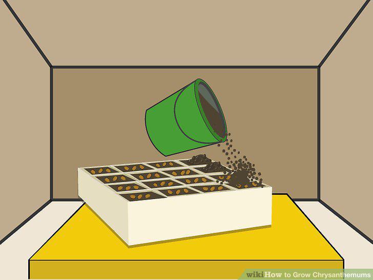 Step 8