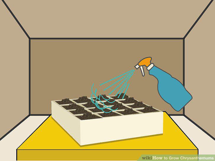 Step 9