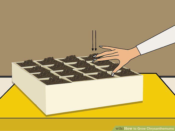 Step 10