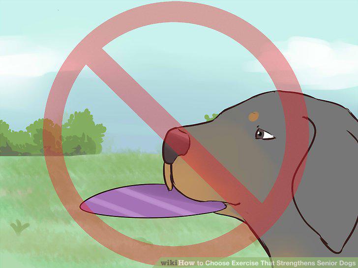 Step 11
