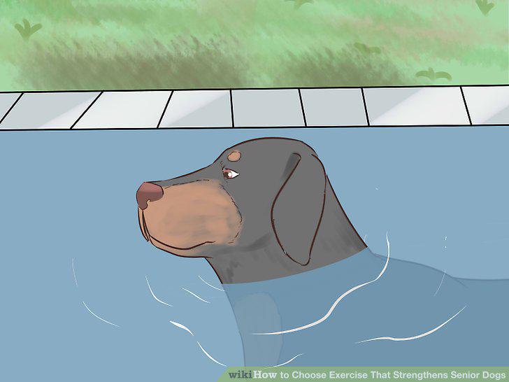 Step 12