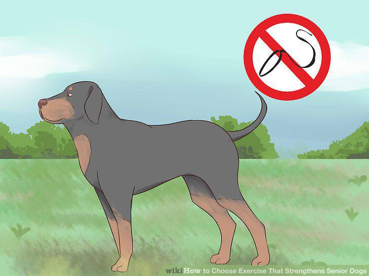 Step 10