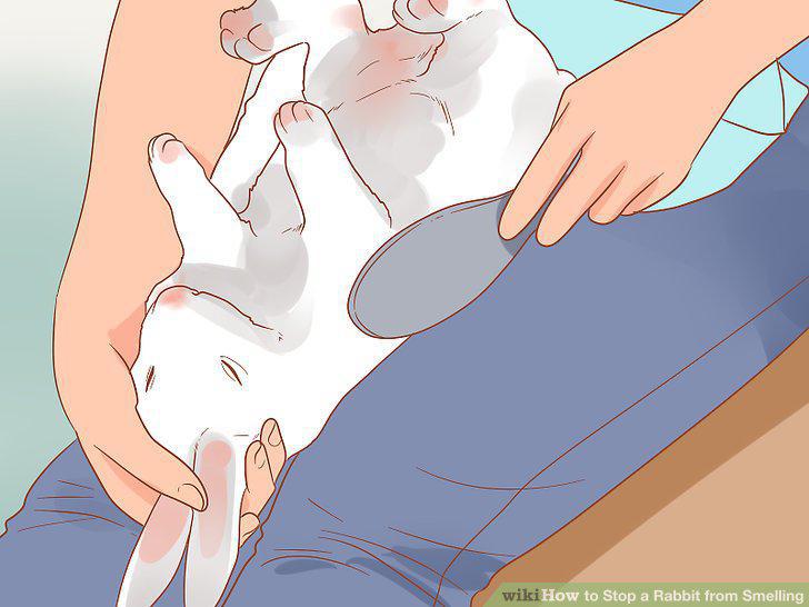 Step 2