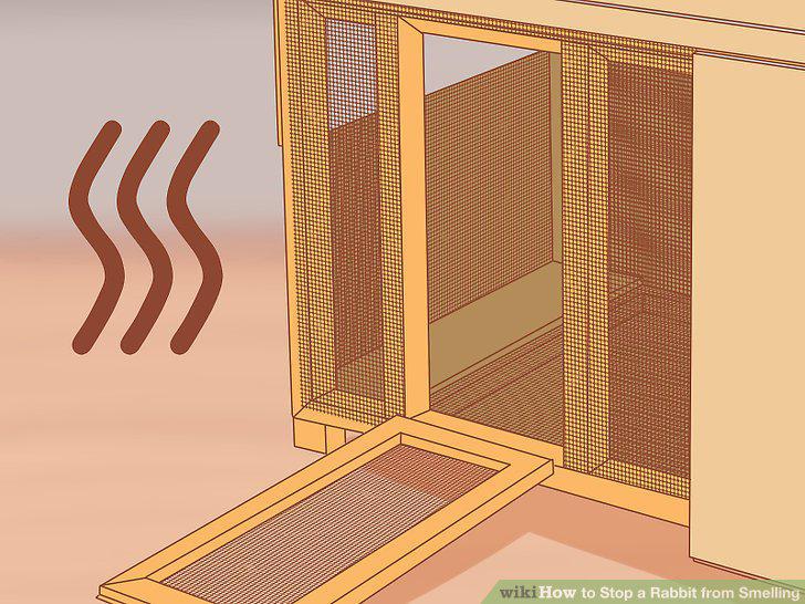 Step 11