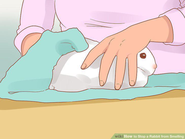 Step 3