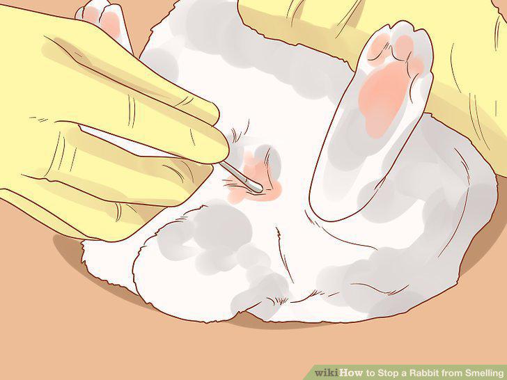 Step 4