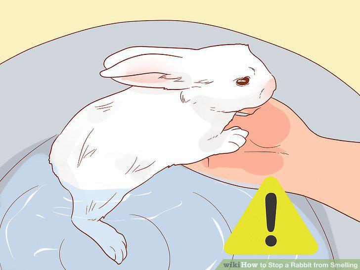 Step 5