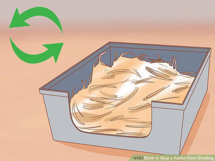 Step 9