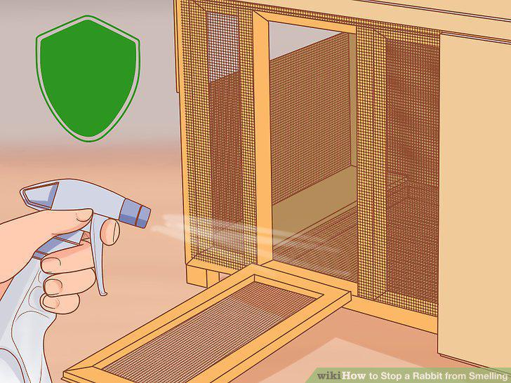 Step 10
