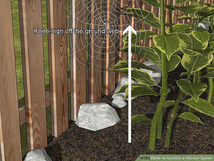 Step 7