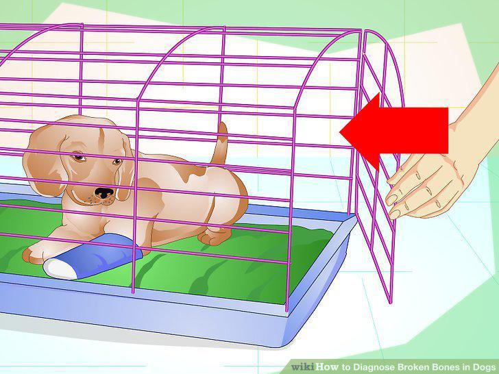 Step 11