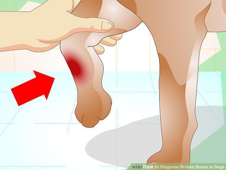 Step 5
