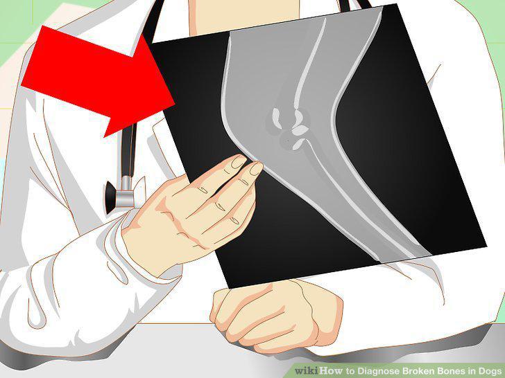Step 8