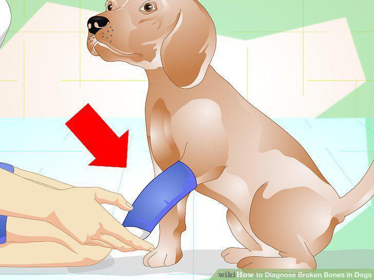 Step 9
