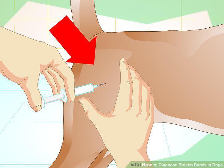 Step 10