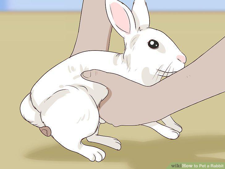 Step 8