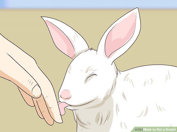 Step 9